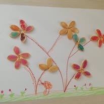 Proiecte educaționale